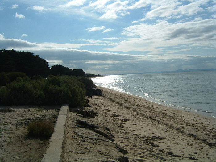 07 Penguin Island.jpg
